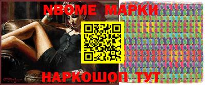 СК Новодвинск