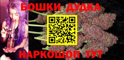 СК Новодвинск