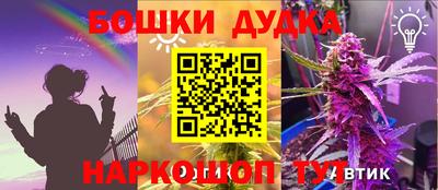 СК Новодвинск