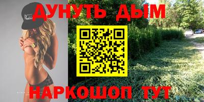 СК Новодвинск