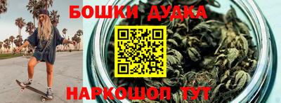 СК Новодвинск