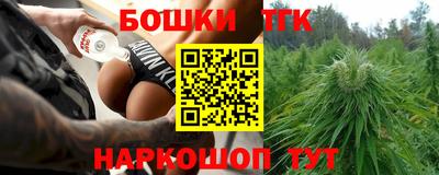 СК Новодвинск
