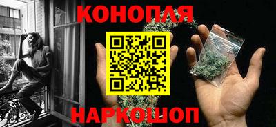 СК Новодвинск