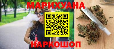 СК Новодвинск