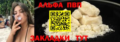 СК Новодвинск