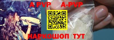 СК Новодвинск