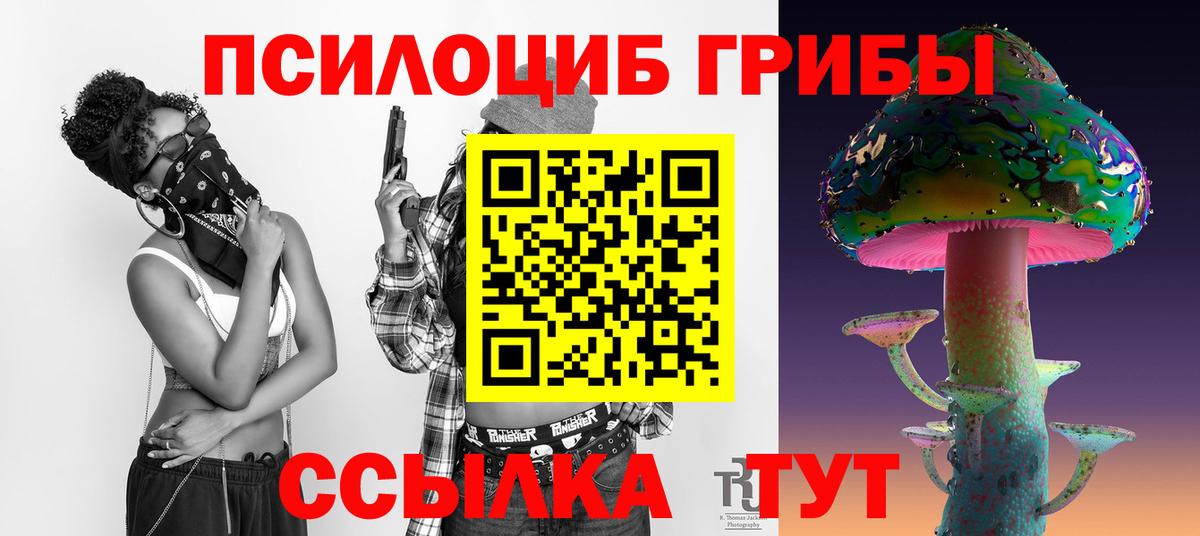 Псилоцибиновые грибы Cubensis  Вход с VPN  Туапсе  Псилоцибиновые грибы мицелий 