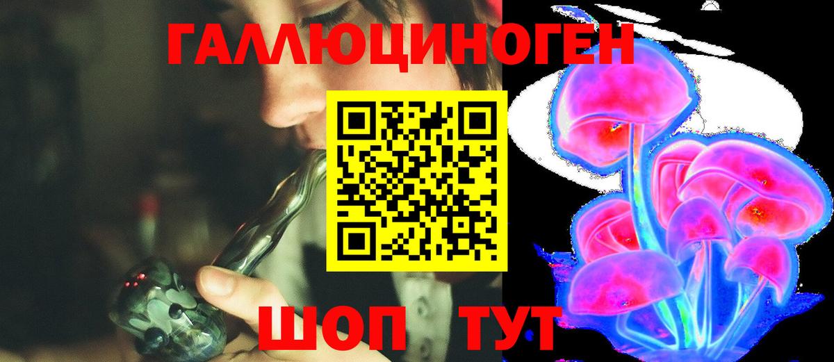 Галлюциногенные грибы мухоморы Туапсе